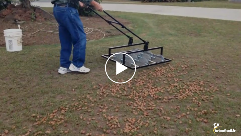 Bricolage d’un outil fou : il ramasse des centaines de noix dans son jardin en quelques secondes !